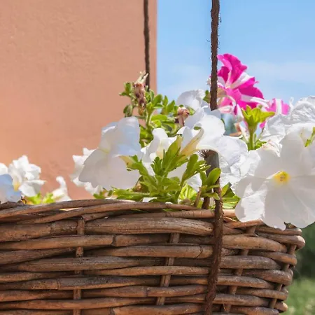 Magea-thalassa,top Floor Cretan With Views Appartement Tavronitis